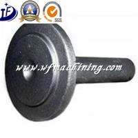 OEM Wrought Metal Iron Steel Forged Part of Stainless Steel